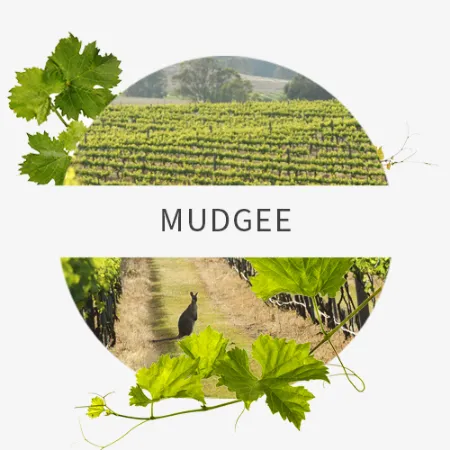 Picture for category Mudgee