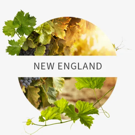 Picture for category New England