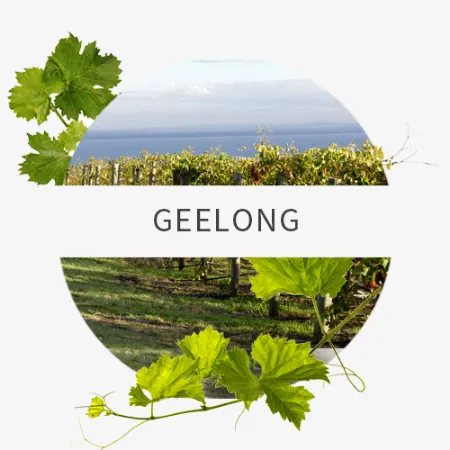 Picture for category Geelong