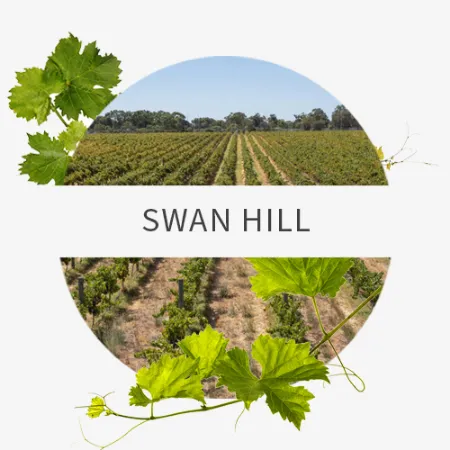 Picture for category Swan Hill