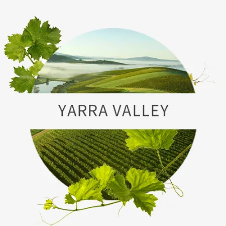Picture for category Yarra Valley