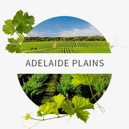 Picture for category Adelaide Plains