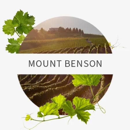 Picture for category Mount Benson