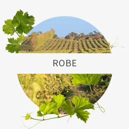 Picture for category Robe