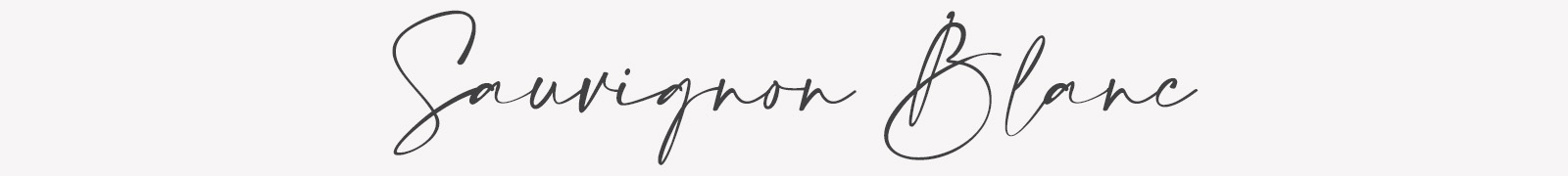 Picture for category Sauvignon Blanc