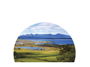  Tasmania icon